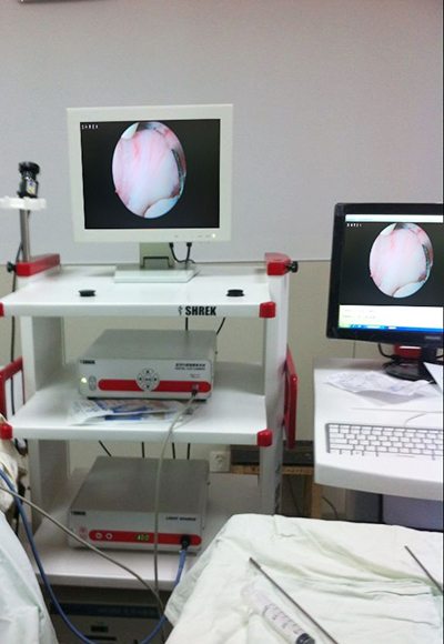 Medical Endoscope Monitor 15＂