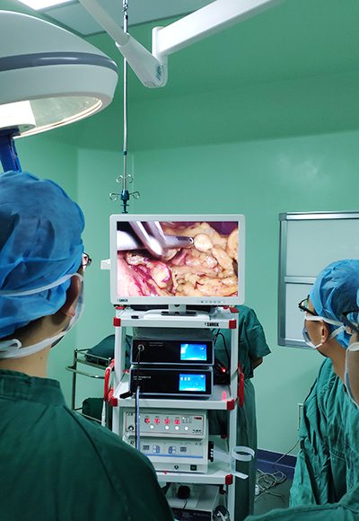 Endoscope LED Cold Light Source 100W