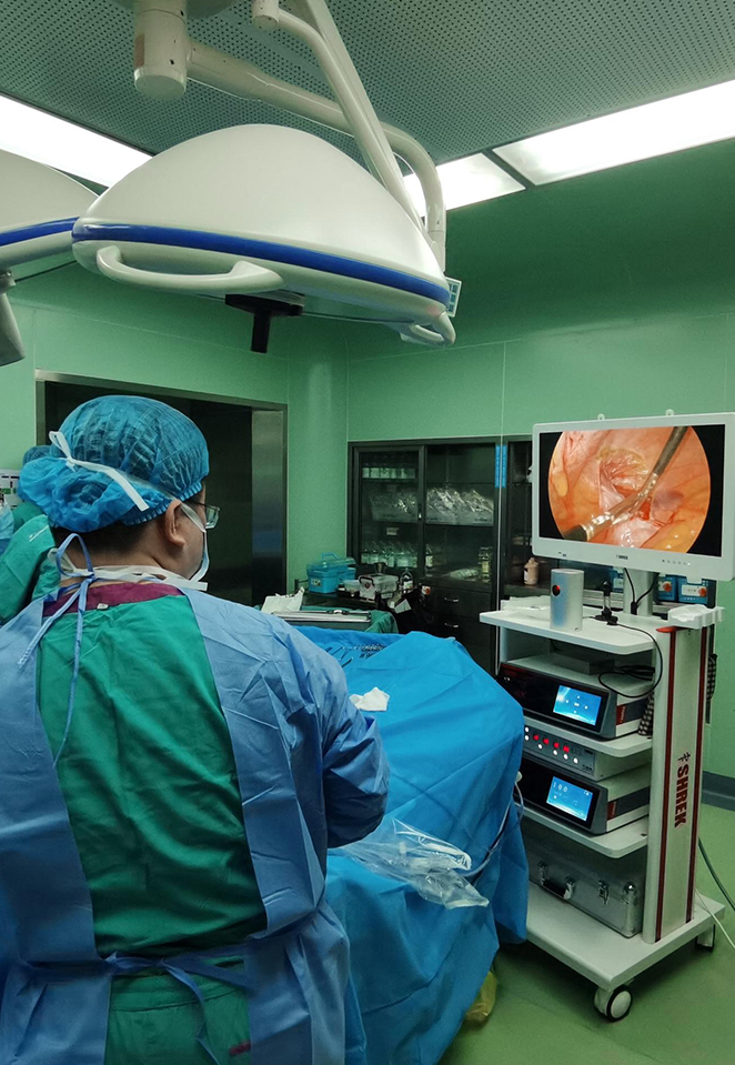 Endoscopy Heater